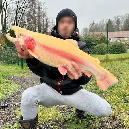 Domaine De Neuville - Flottants En Champagne *