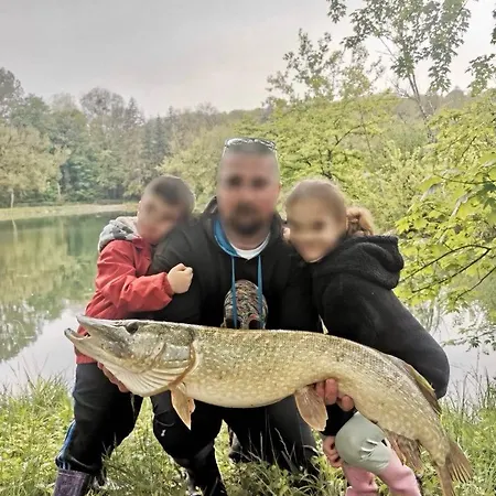 Domaine De Neuville - Flottants En Champagne Sainte-Gemme (Marne)