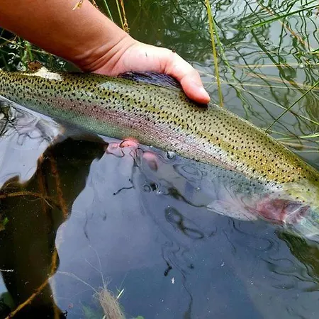 Domaine De Neuville - Flottants En Champagne * Sainte-Gemme (Marne)