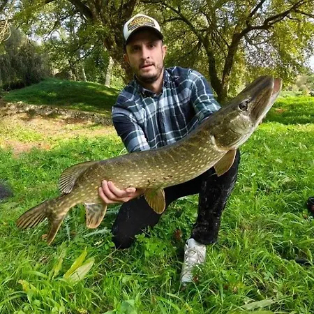 Domaine De Neuville - Flottants En Champagne * Sainte-Gemme (Marne)