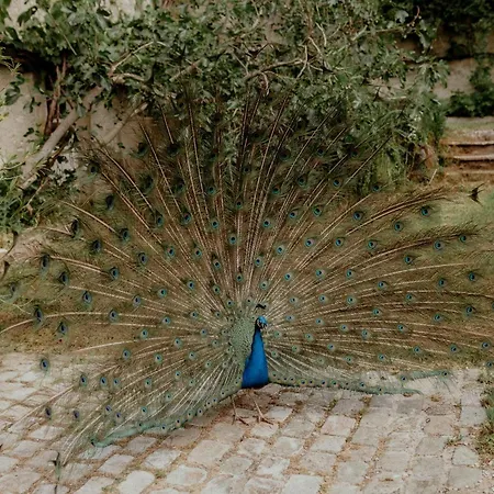 Domaine De Neuville - Flottants En Champagne 롯지