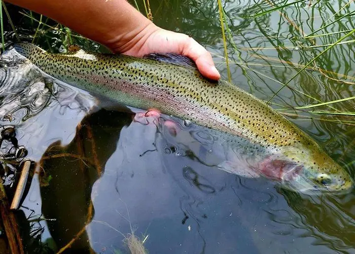Sur L'eau - Domaine De Neuville * Sainte-Gemme (Marne)