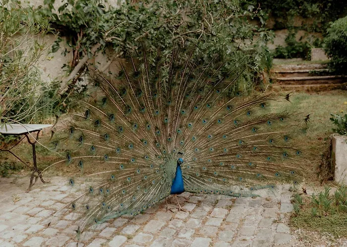 Sur L'eau - Domaine De Neuville Lodge